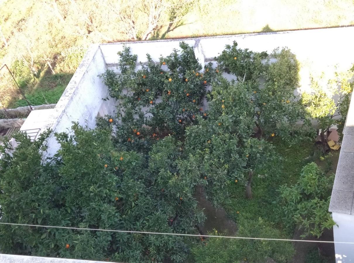 אוסטוני Villa Gardenia מראה חיצוני תמונה