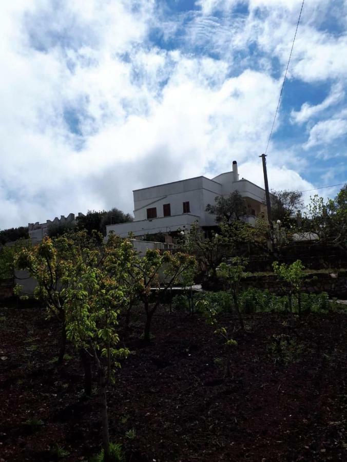 אוסטוני Villa Gardenia מראה חיצוני תמונה